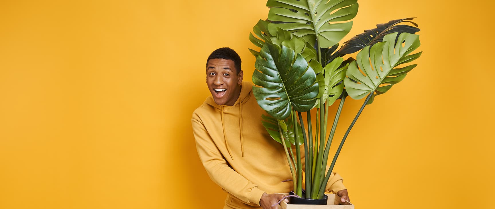 Browse, buy and grow from vendors in your city and beyond